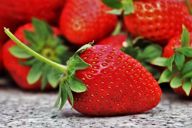 种一亩草莓能挣多少钱 一亩草莓需要投资多少